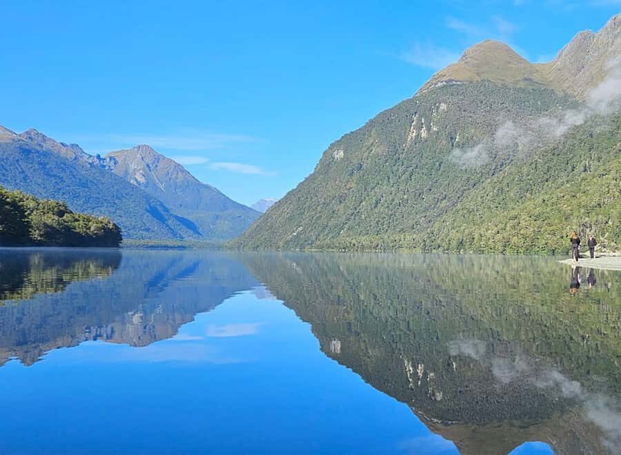 Milford Sound: Small-Group Tour from Te Anau - Milford Sound cruise: geology in plain English and wildlife spotting