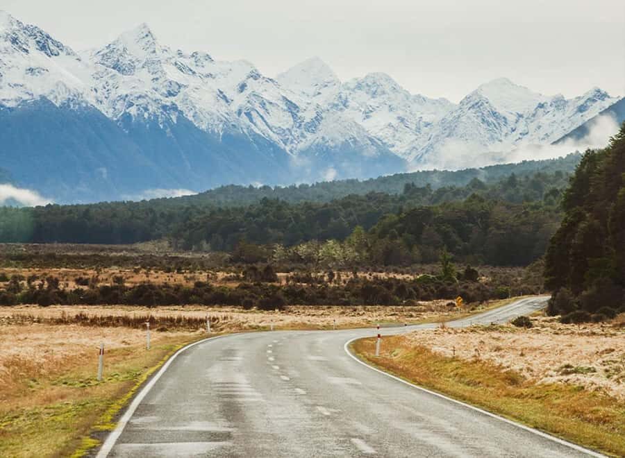 Milford Sound: Small-Group Tour from Te Anau - Food on the move: morning tea, a picnic lunch, and hot drinks onboard
