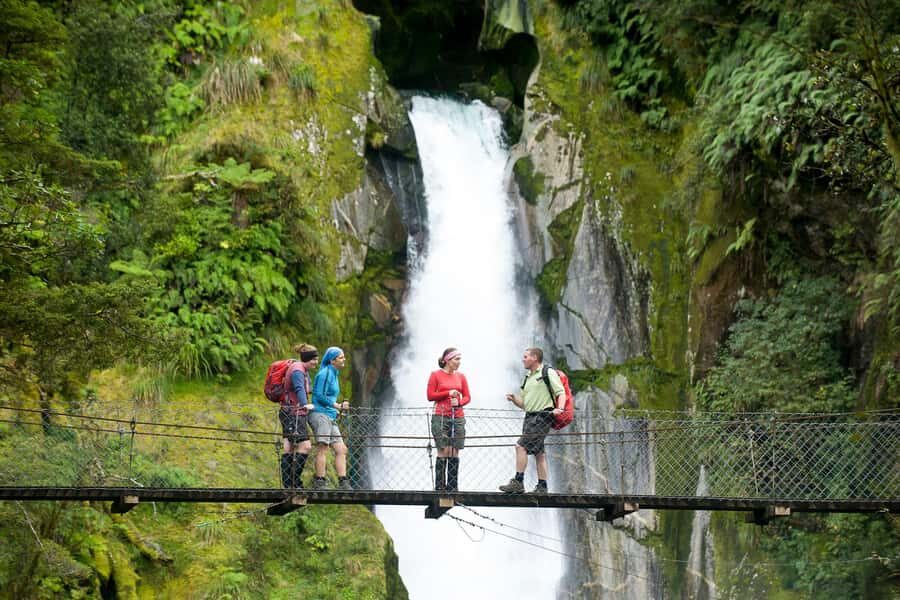 Milford Track: Full Day Guided Hike and Nature Cruise - Meeting at Mitre Peak Cruises: check-in time and parking reality