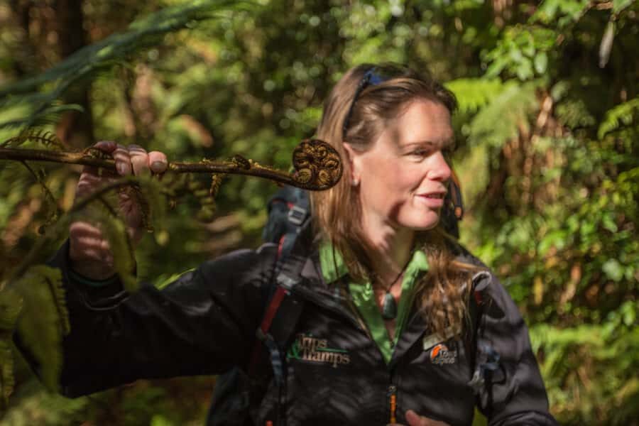 Milford Track: Full Day Guided Hike and Nature Cruise - The Milford Track morning: Arthur River, Lake Ada, and a forest full of clues
