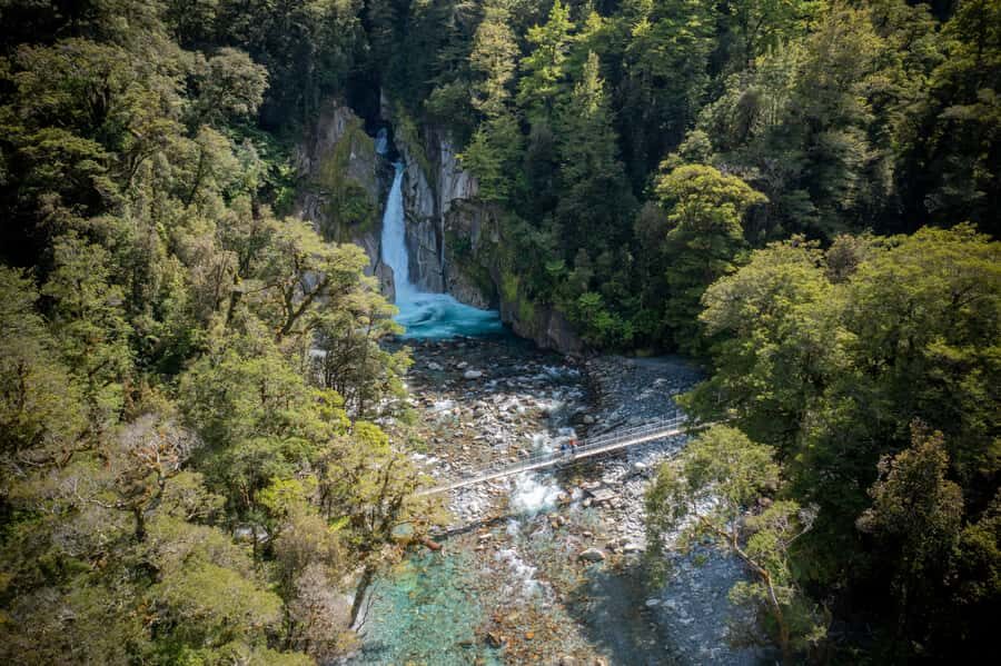 Milford Track: Full Day Guided Hike and Nature Cruise - The value question: what $215 buys on a day like this