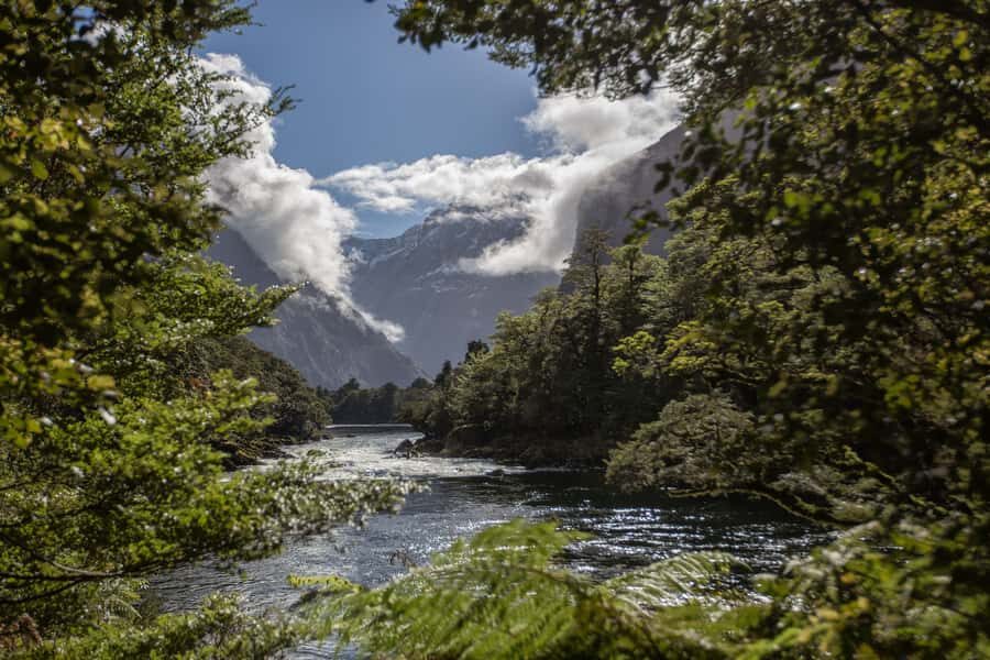 Milford Track: Full Day Guided Hike and Nature Cruise - Water taxi to the start: a short ride that sets the pace