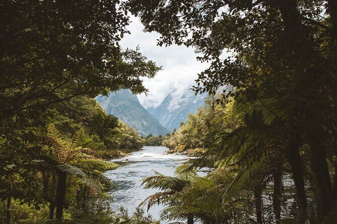 Milford Track Multi-Night Hike - Water Taxi Transport - Who this Milford Track water taxi is best for