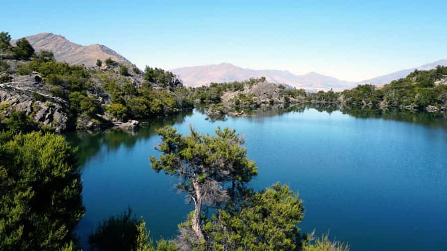 Mou Waho Island: 3-Hour Cruise and Guided Nature Walk - Packing smart: what to bring for comfort and safety