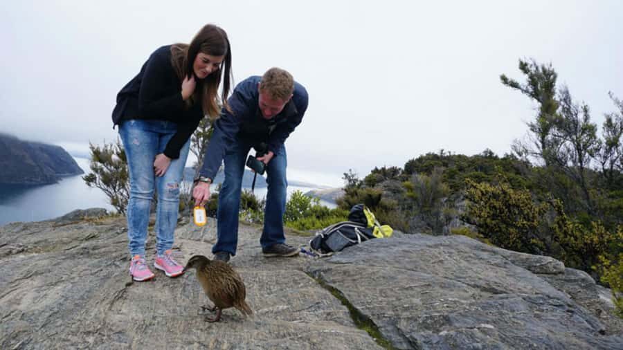 Mou Waho Island: 3-Hour Cruise and Guided Nature Walk - The 30-minute fast cruise that sets the tone on Lake Wanaka