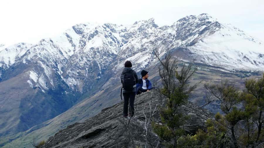 Mou Waho Island: 3-Hour Cruise and Guided Nature Walk - Wildlife viewing on a predator-free island (Buff Weka and Mountain Stone Weta)