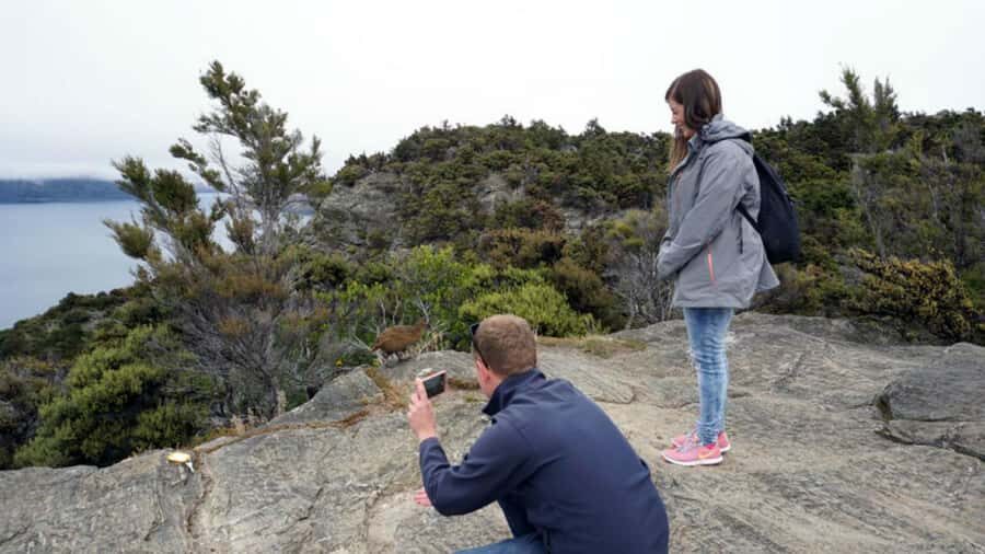 Mou Waho Island: 3-Hour Cruise and Guided Nature Walk - Price and value: is $101 per person fair?