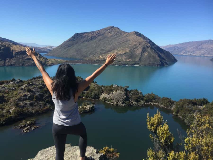 Mou Waho Island: 3-Hour Cruise and Guided Nature Walk - Getting there the easy way: 100 Ardmore St and the Old Town Jetty
