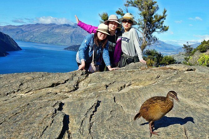 Mou Waho Island Cruise and Guided Nature Walk - Mou Waho Island in Lake Wanaka: why this reserve is so special