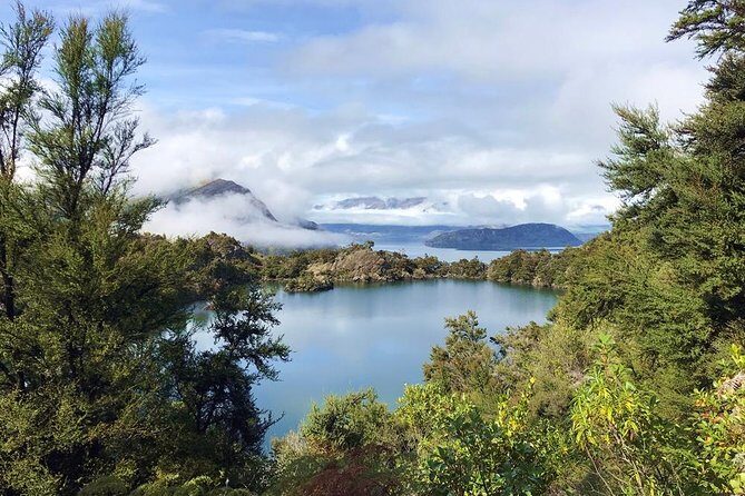 Mou Waho Island Cruise and Guided Nature Walk - Roys Bay return and lunch plans: how to finish the day well
