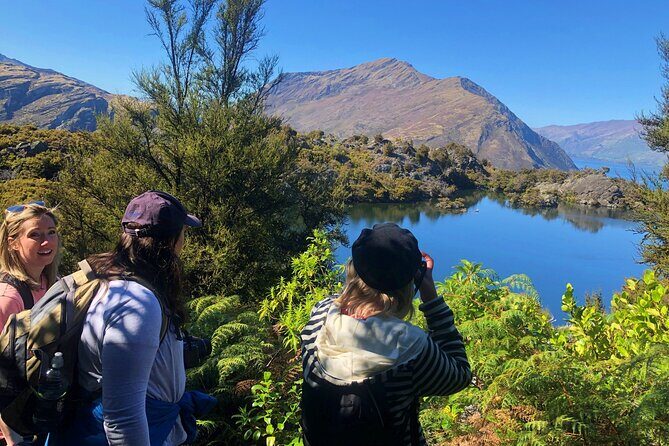 Mou Waho Island Cruise & Self-Guided Nature Walk - What to watch for in the field