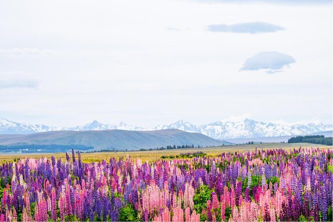 Mount Cook Day Tour from Queenstown - Aoraki/Mt Cook Village: the real reason for the trip