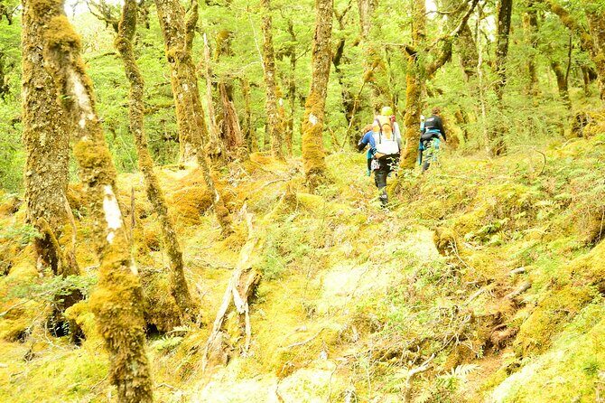 Mt Aspiring Full Day Canyon ex Queenstown or Wanaka - Getting there from Queenstown: the 8:30 start and full-day loop