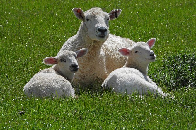 Paradise Valley Full Day Tour - Diamond Lake trail: optional walking and a chance to see farm life
