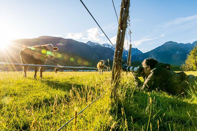 Photography Tour from Queenstown to Glenorchy - 1/2 Day - Private tour feel: what it’s like when it’s just your group