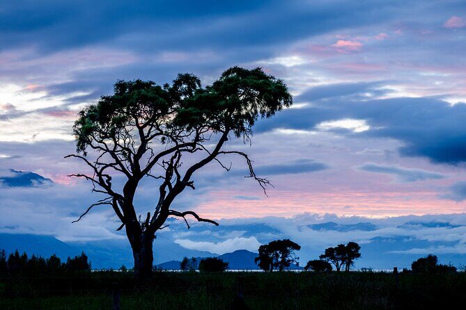 Photography Tour from Queenstown to Glenorchy - 1/2 Day - What you should bring (and what you should not expect)