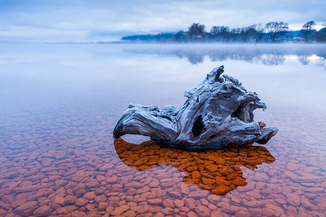 Photography Tour from Queenstown to Glenorchy - 1/2 Day - Price and value: what $235.82 gets you in the Southern Lakes