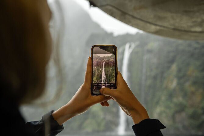 Premium Milford Sound Cruise Including Lunch - Quick Practical Tips for a Smooth Milford Day
