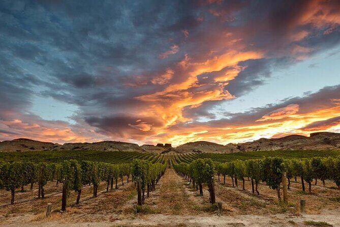 Private Central Otago Wine tasting Tour with Gourmet Lunch. - Arrowtown finish: gold mining town browsing and a little breathing room