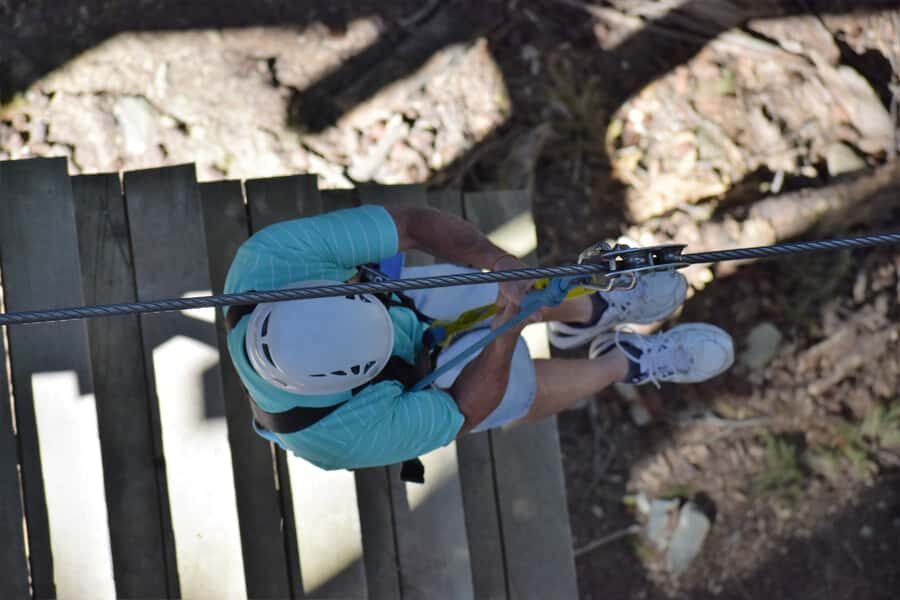 Queenstown: 1-Hour Zipline Tour with 2-Lines & 21-Meter Drop - What you’ll learn in the treetops (and why it’s worth it)