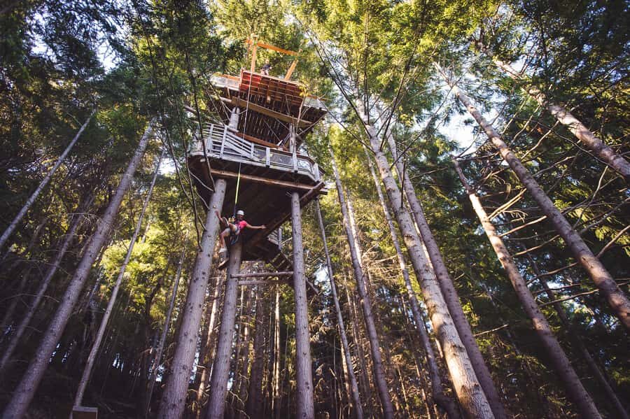 Queenstown: 1-Hour Zipline Tour with 2-Lines & 21-Meter Drop - What to bring: the small choices that prevent big annoyances