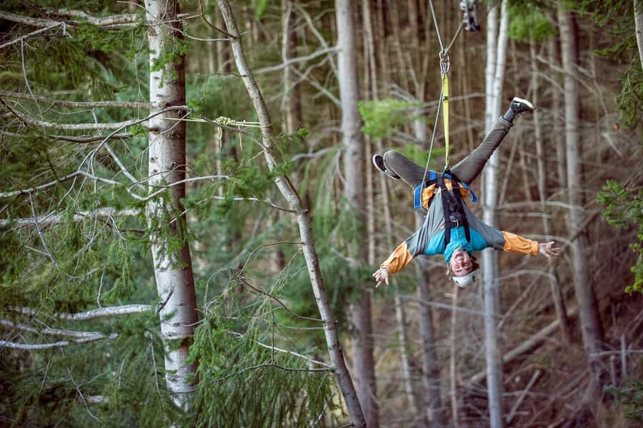 Queenstown: 2-Hour Zipline Tour with 4-Lines - What you pay ($95) and why it can still feel like value