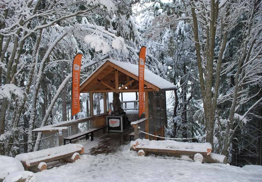 Queenstown: 2-Hour Zipline Tour with 4-Lines - Getting to Ziptrek Treehouse on Bob’s Peak (and why timing matters)