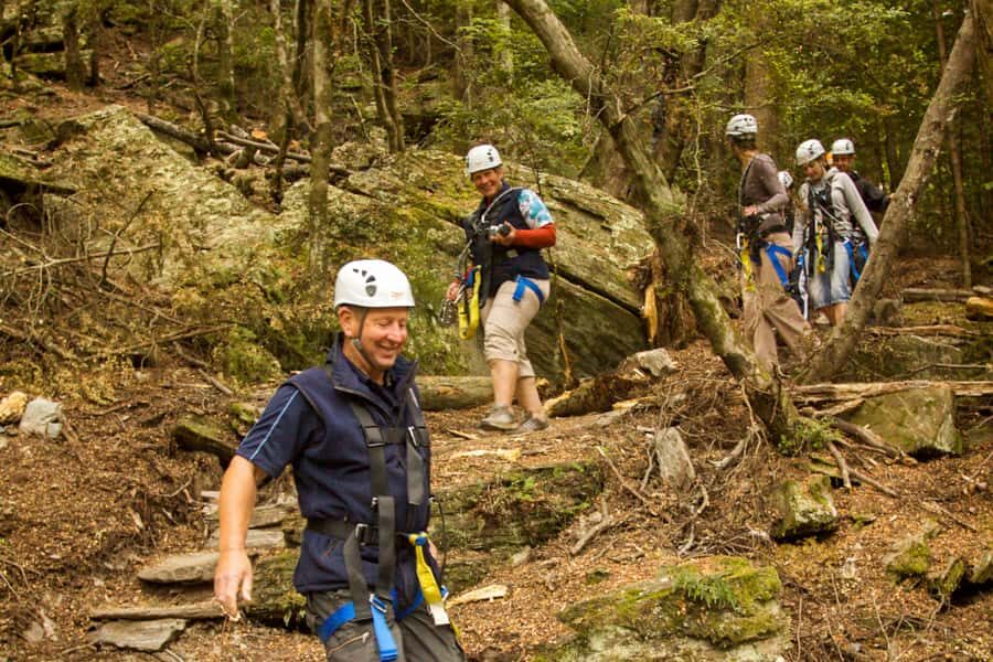 Queenstown: 3-Hour Zipline Adventure with 6-Lines - Skyline Gondola summit to Ziptrek Treehouse: the start you’ll actually feel