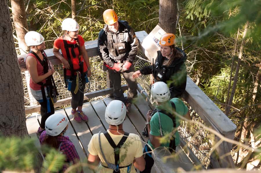 Queenstown: 3-Hour Zipline Adventure with 6-Lines - The steepest tree-to-tree finish: what 70 kph really means