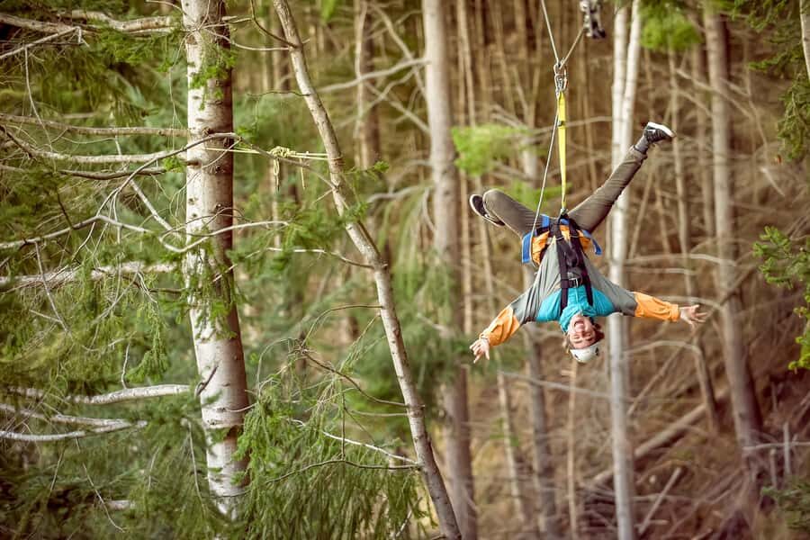 Queenstown: 3-Hour Zipline Adventure with 6-Lines - Price and value: $124 for six lines, gear, and guided forest time