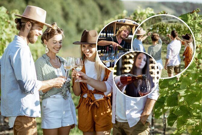 Queenstown Afternoon Wine Tour - Peregrine | Kinross | Amisfield - Gibbston Valley Wines: Your first tasting in the Valley of the Vines