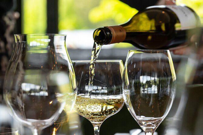 Queenstown Afternoon Wine Tour - Peregrine | Kinross | Amisfield - The tasting method: learning how to taste like you mean it