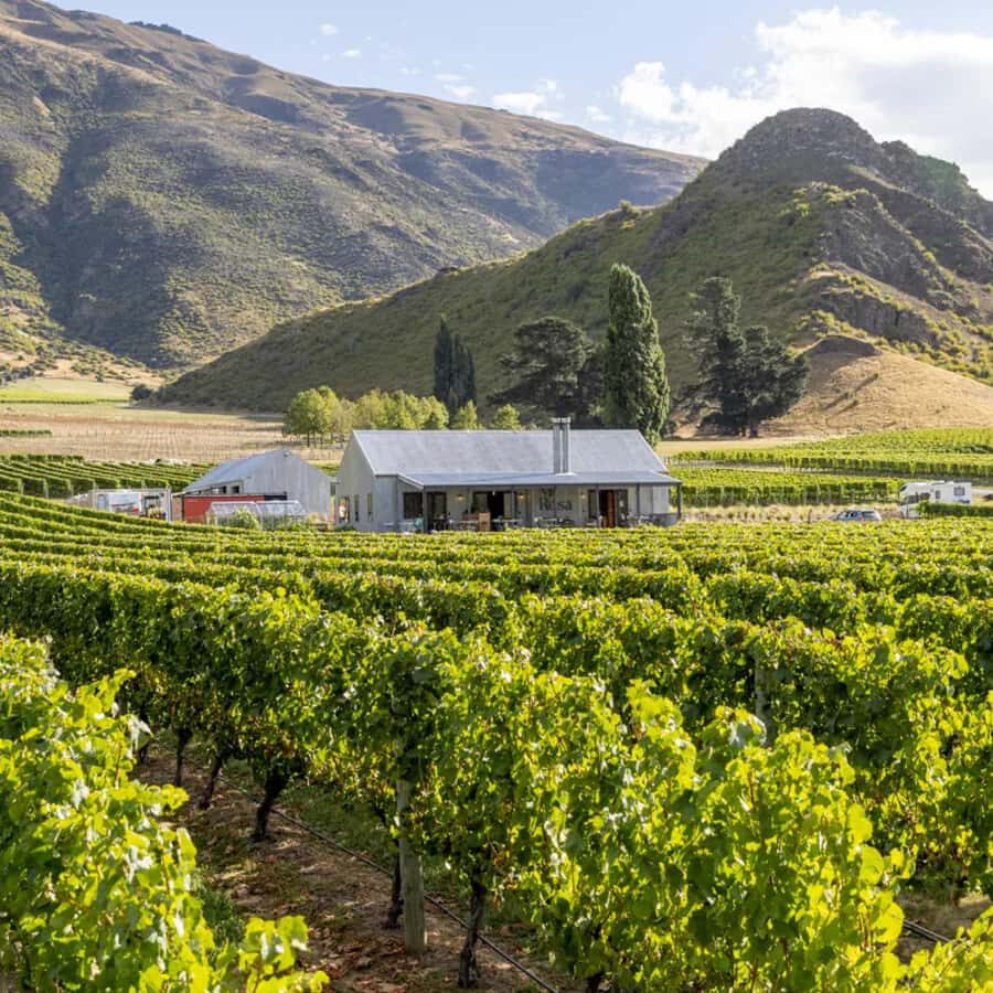 Queenstown, Arrowtown, Gibbston: Flexible Wine Hopper Tours - Queenstown Pickup at 12pm, Then a 6-Hour Wine Loop Back Into Town