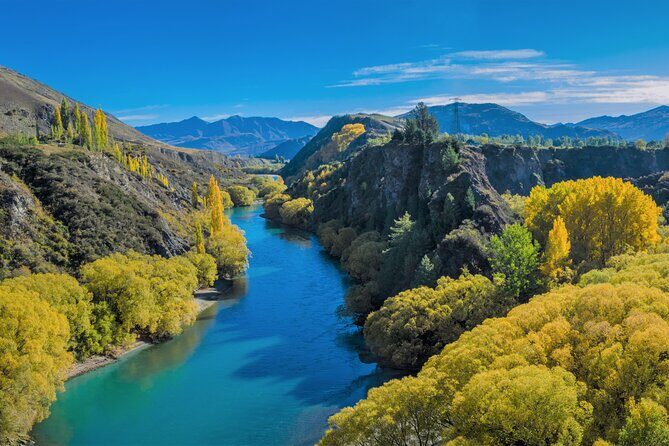 Queenstown Classic Wine Tour: 3 Winery Visits, Cave Tour & Cheese - Who Should Book This Tour (and Who Might Want Something Else)