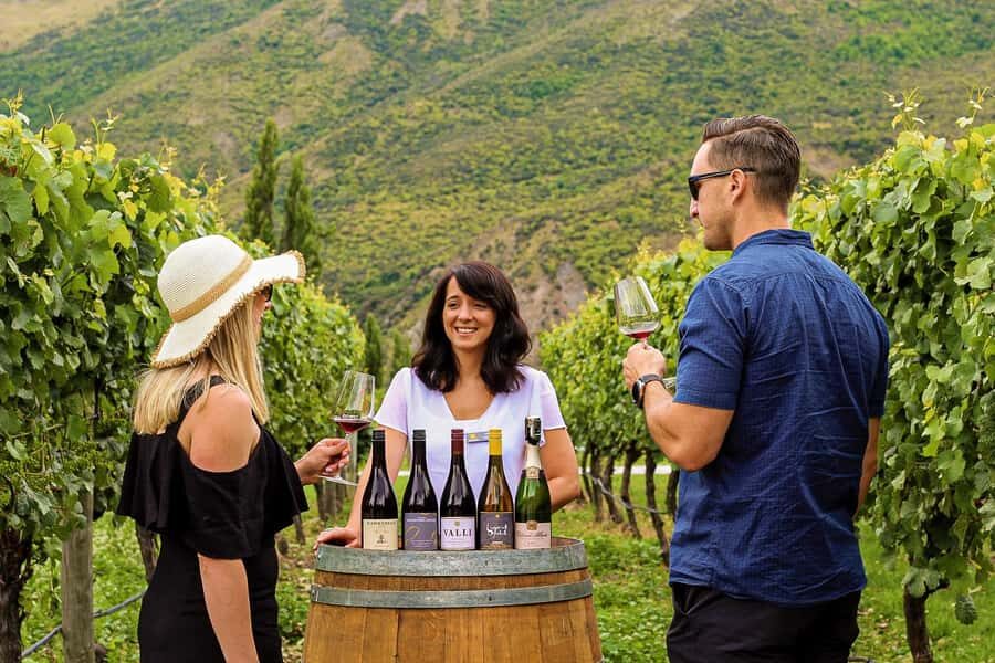 Queenstown: Classic Wine Tour - Meeting at 1:30 PM: how the timing feels in real life