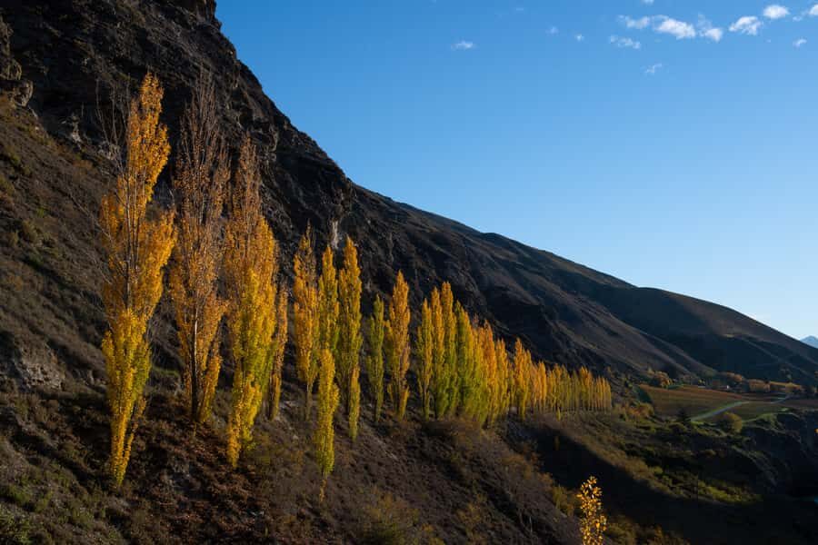 Queenstown: Craft Beer Brewery Tour with Lunch - Scenic Travel Time, Photo Stops, and a Traditional Village Break