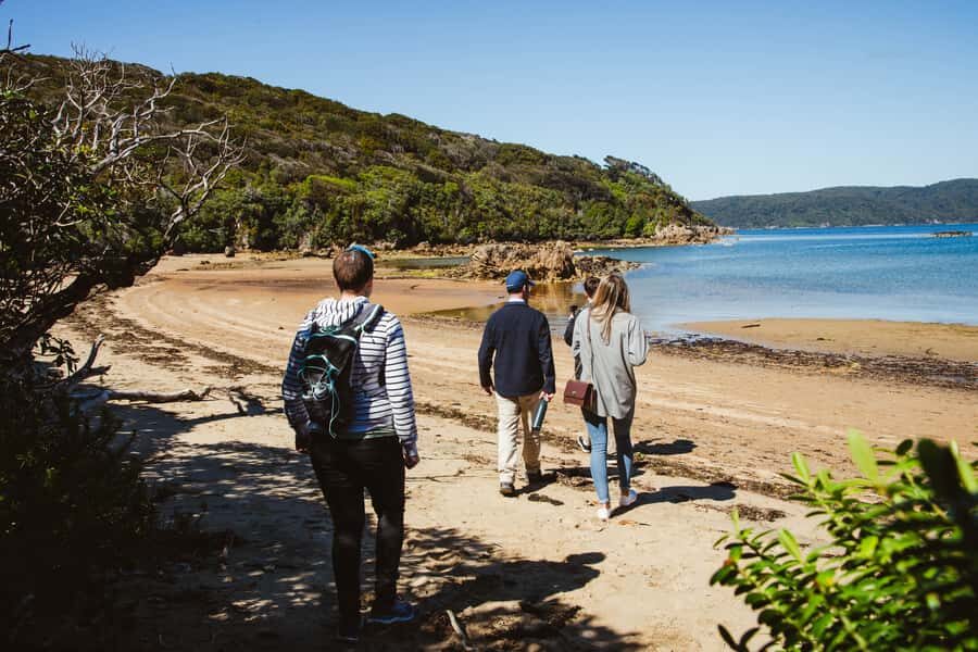 Queenstown: Day Trip to Stewart Island via Scenic Flight - Rakiura National Park and Kiwi Chances Without the Rush