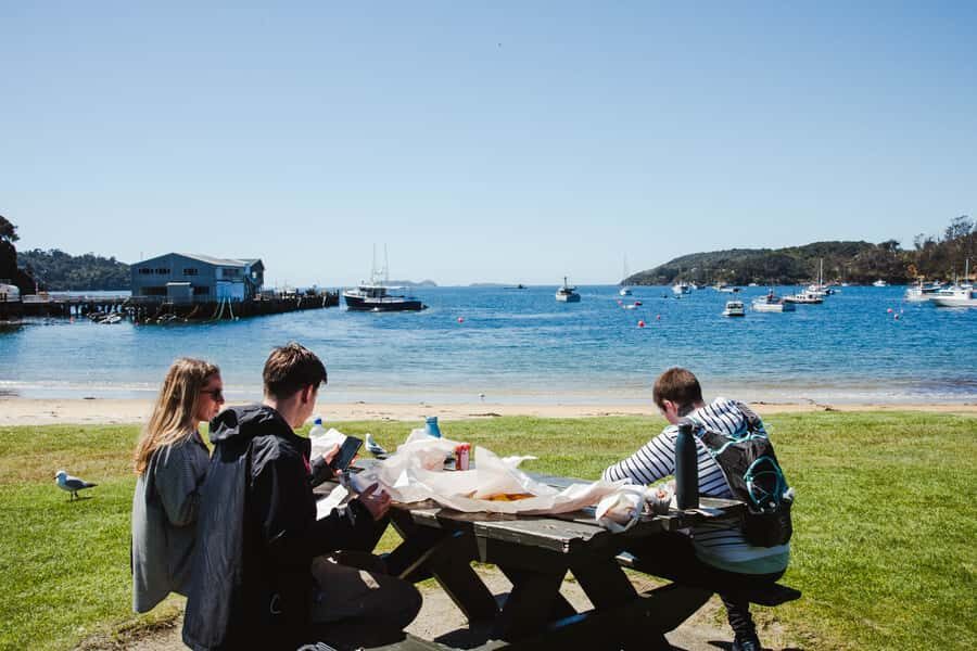 Queenstown: Day Trip to Stewart Island via Scenic Flight - Choosing Between Ulva Island, Coast Walks, and Rainforest Hikes