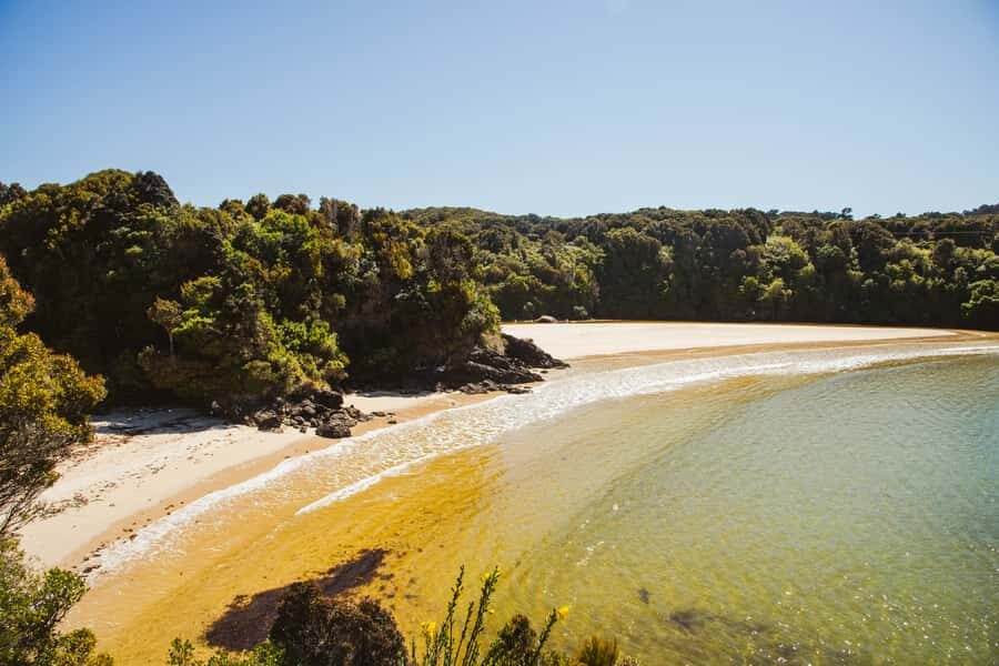 Queenstown: Day Trip to Stewart Island via Scenic Flight - Price and Value: What $459 Really Covers