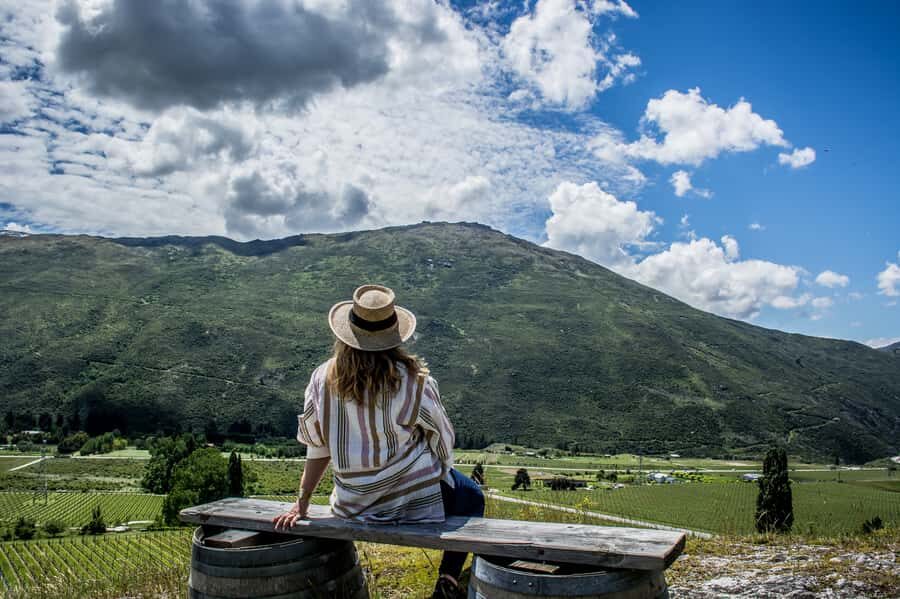 Queenstown & Gibbston Valley: Hop-On Hop-Off Wine Tours - Picking your stops: wineries, breweries, taverns, and an adventure break