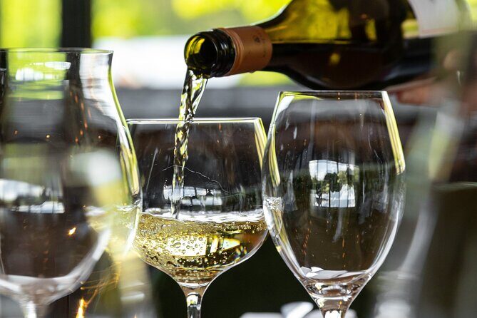 Queenstown Gin, Wine & Beer Tour | Adults Only - Stop 2: Rifters Gin in Dudley’s Cottage (Arrowtown)