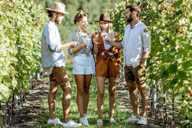 Queenstown Gin, Wine & Beer Tour | Adults Only - Stop 3: Amisfield Winery cellar door and Central Otago pours