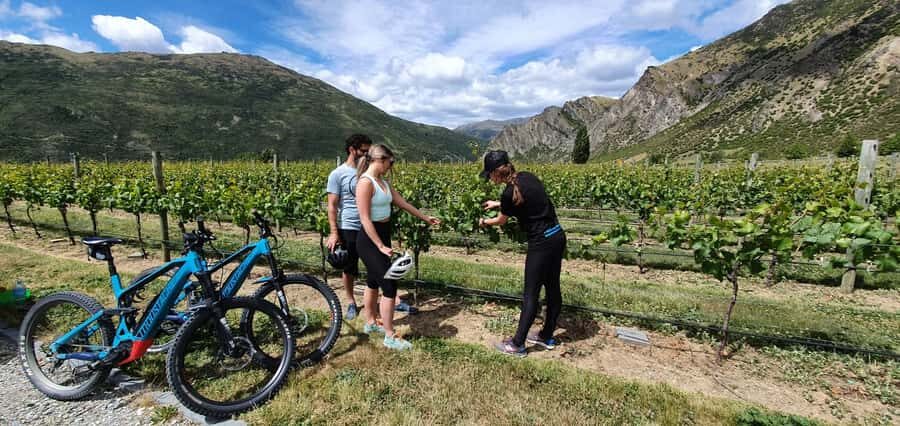 Queenstown: Guided E-Bike Tour with Winery Visits & Tastings - Key highlights worth getting excited about