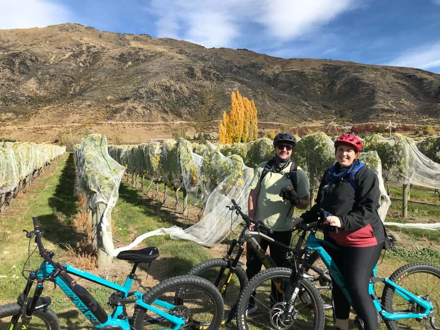 Queenstown: Guided E-Bike Tour with Winery Visits & Tastings - Who should book this Ride to the Vines tour