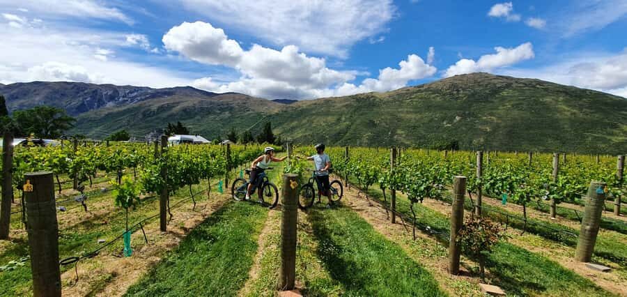Queenstown: Guided E-Bike Tour with Winery Visits & Tastings - From 26 Hansen Road to Arrowtown: the day’s easy start
