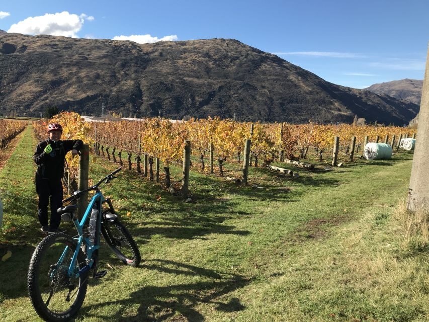 Queenstown: Guided E-Bike Tour with Winery Visits & Tastings - Gibbston Valley: where the vineyards start to feel endless