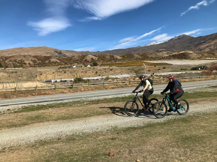 Queenstown: Guided E-Bike Tour with Winery Visits & Tastings - Guides, group size, and the e-bike setup that lowers the stress