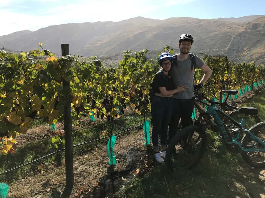Queenstown: Guided E-Bike Tour with Winery Visits & Tastings - Price and value: what $194 buys beyond the e-bike