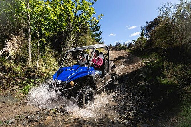 Queenstown Guided Self-Drive Buggy Tour - The 60 minutes of off-road driving: bush tracks, “bring sunglasses” views, and the real pace