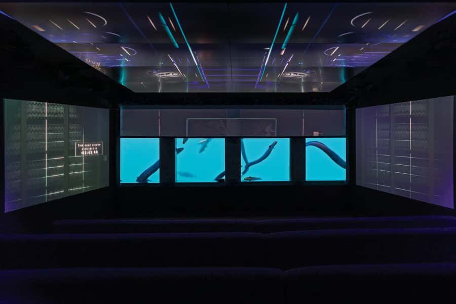 Queenstown: Hidden Underwater Theatre Experience - A 30-Minute Time Trip Under Lake Wakatipu